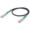 Allied Telesis AT-QSFP1CU (QSFP+(40G)及び1m多軸銅線ケーブル一体型モジュール) (0793R)