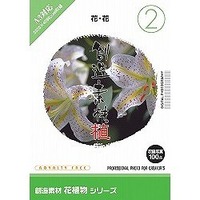 イメージランド 創造素材 花植物(2)花・花 (935689)画像