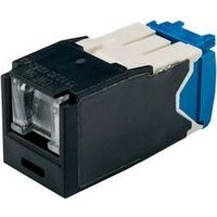 PANDUIT CJH6X88TGBL (CJH6X88TGBL)画像